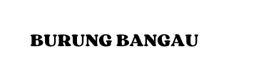 BURUNG BANGAU
